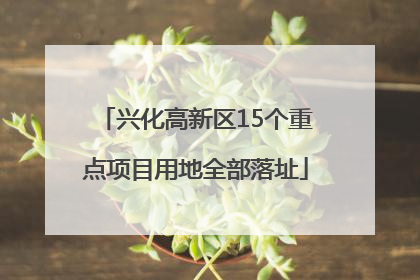 兴化高新区15个重点项目用地全部落址