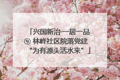 兴国新治·一居一品⑨ 林峰社区院落党建“为有源头活水来”
