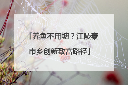 养鱼不用塘？江陵秦市乡创新致富路径