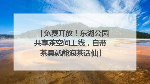 免费开放！东湖公园共享茶空间上线，自带茶具就能泡茶话仙