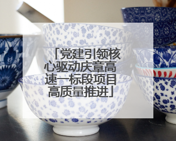 党建引领核心驱动庆章高速一标段项目高质量推进