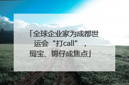 全球企业家为成都世运会“打call”，蜀宝、锦仔成焦点