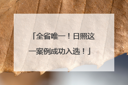 全省唯一！日照这一案例成功入选！