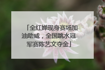 全红婵现身赛场加油助威，全国跳水冠军赛陈艺文夺金