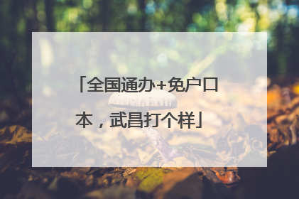 全国通办+免户口本，武昌打个样
