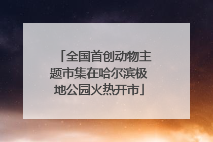 全国首创动物主题市集在哈尔滨极地公园火热开市
