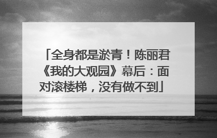 全身都是淤青！陈丽君《我的大观园》幕后：面对滚楼梯，没有做不到
