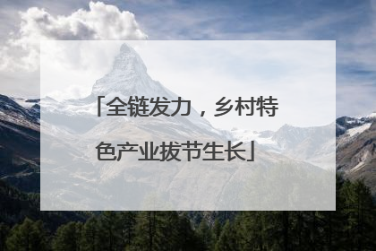 全链发力，乡村特色产业拔节生长