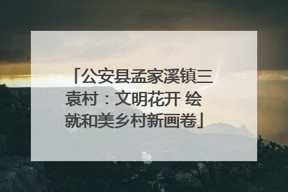 公安县孟家溪镇三袁村：文明花开 绘就和美乡村新画卷