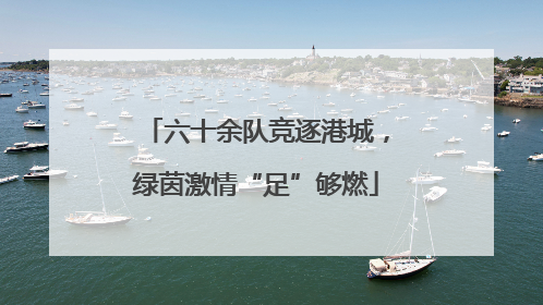 六十余队竞逐港城，绿茵激情“足”够燃