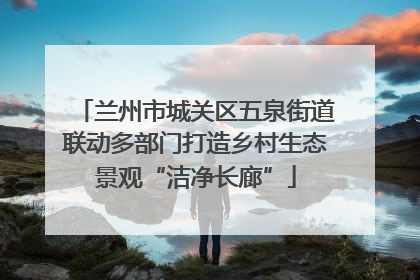 兰州市城关区五泉街道联动多部门打造乡村生态景观“洁净长廊”