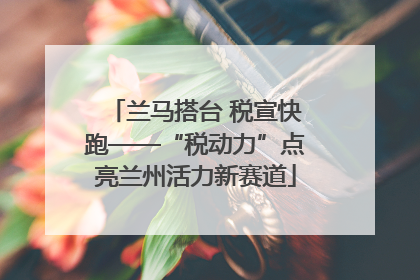兰马搭台 税宣快跑——“税动力”点亮兰州活力新赛道
