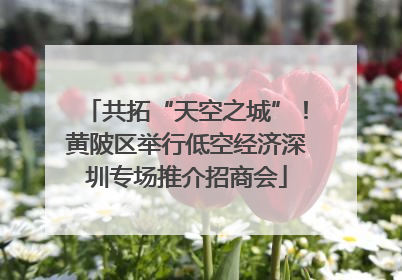 共拓“天空之城”！黄陂区举行低空经济深圳专场推介招商会