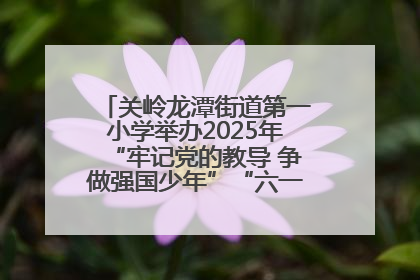 关岭龙潭街道第一小学举办2025年“牢记党的教导 争做强国少年”“六一”文艺汇演活动