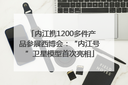 内江携1200多件产品参展西博会：“内江号”卫星模型首次亮相