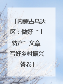 内蒙古乌达区：做好“土特产”文章 写好乡村振兴答卷