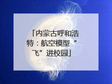 内蒙古呼和浩特：航空模型“飞”进校园