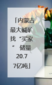 内蒙古最大碱矿找“买家” 储量20.77亿吨