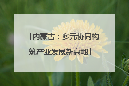 内蒙古：多元协同构筑产业发展新高地