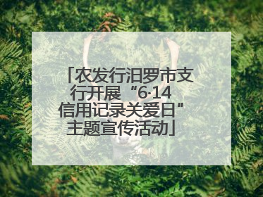 农发行汨罗市支行开展“6·14信用记录关爱日”主题宣传活动