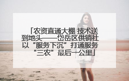 农资直通大棚 技术送到地头——岱岳区供销社以“服务下沉”打通服务“三农”最后一公里