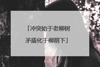 冲突始于老柳树 矛盾化于柳荫下