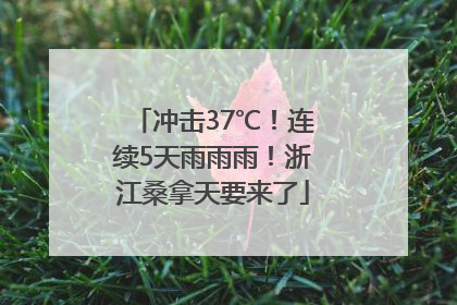 冲击37℃！连续5天雨雨雨！浙江桑拿天要来了