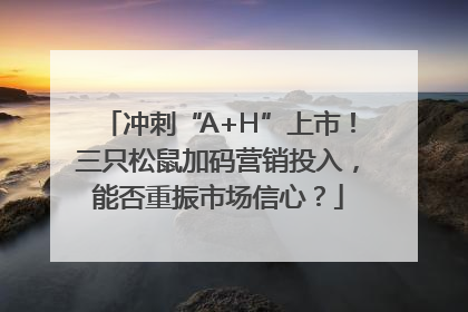 冲刺“A+H”上市！三只松鼠加码营销投入，能否重振市场信心？