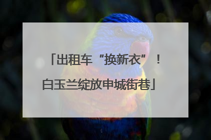 出租车“换新衣”！白玉兰绽放申城街巷