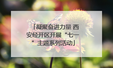 凝聚奋进力量 西安经开区开展“七一”主题系列活动