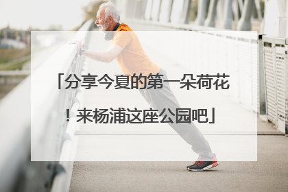 分享今夏的第一朵荷花！来杨浦这座公园吧