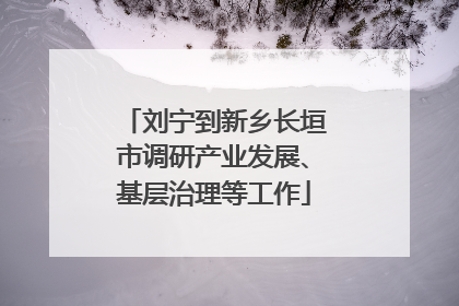 刘宁到新乡长垣市调研产业发展、基层治理等工作