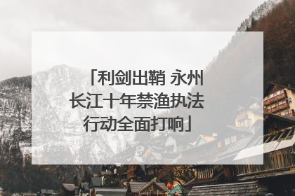 利剑出鞘 永州长江十年禁渔执法行动全面打响