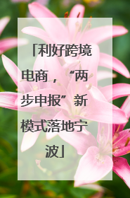 利好跨境电商，“两步申报”新模式落地宁波
