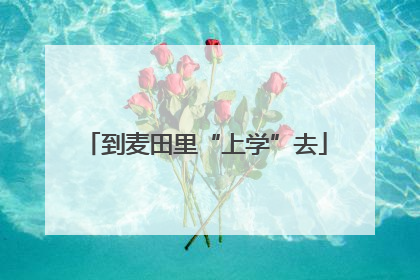 到麦田里“上学”去