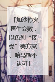 加沙停火再生变数：以色列“接受”美方案、哈马斯不认可