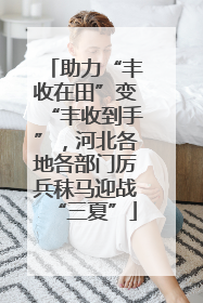 助力“丰收在田”变“丰收到手”，河北各地各部门厉兵秣马迎战“三夏”