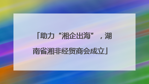 助力“湘企出海”，湖南省湘非经贸商会成立