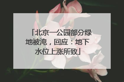 北京一公园部分绿地被淹，回应：地下水位上涨所致