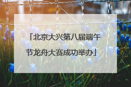 北京大兴第八届端午节龙舟大赛成功举办