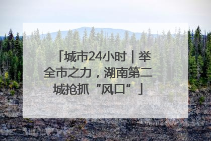 城市24小时｜举全市之力，湖南第二城抢抓“风口”