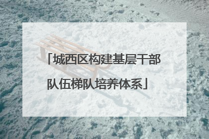 城西区构建基层干部队伍梯队培养体系