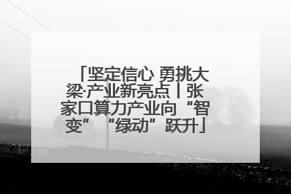 坚定信心 勇挑大梁·产业新亮点丨张家口算力产业向“智变”“绿动”跃升