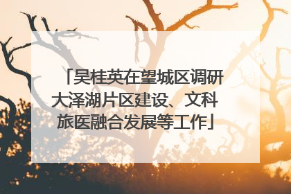 吴桂英在望城区调研大泽湖片区建设、文科旅医融合发展等工作