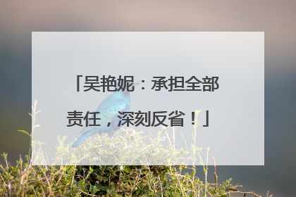 吴艳妮：承担全部责任，深刻反省！