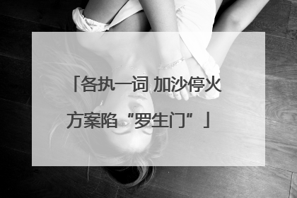 各执一词 加沙停火方案陷“罗生门”