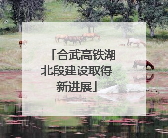 合武高铁湖北段建设取得新进展
