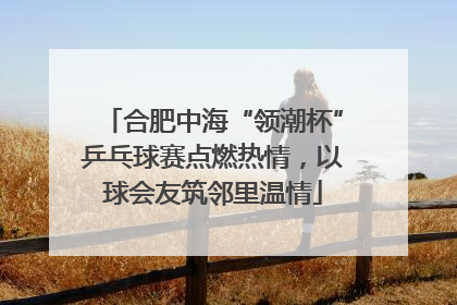 合肥中海“领潮杯”乒乓球赛点燃热情，以球会友筑邻里温情