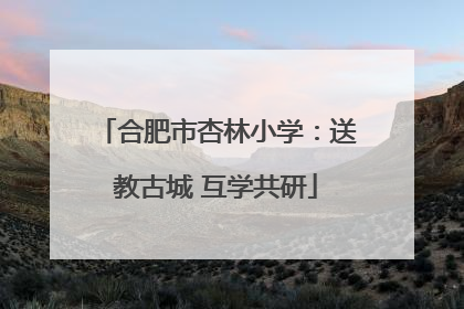 合肥市杏林小学：送教古城 互学共研