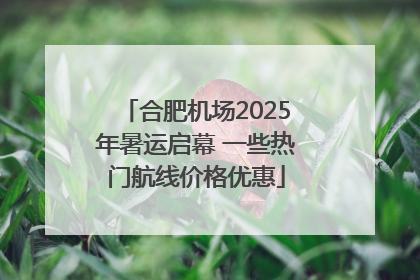 合肥机场2025年暑运启幕 一些热门航线价格优惠
